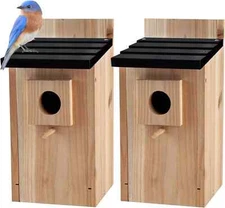 CARTMAN 0.5 Inch Thick Blue Bird Box House 2 Pack