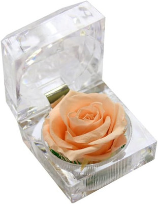 Preserved Flower Box, Single Rose Never Withered Bixes Preserved Rose for Weddin