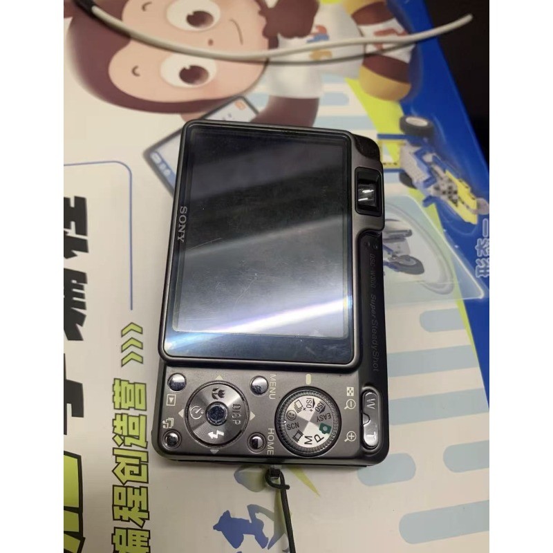 Sony Cyber-shot DSC-W300 Digital Camera W/SD Card Charger Battery