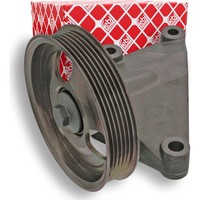 Febi Bilstein 100173 Umlenkrolle FüHrungsrolle Keilrippenriemen FüR Peugeot