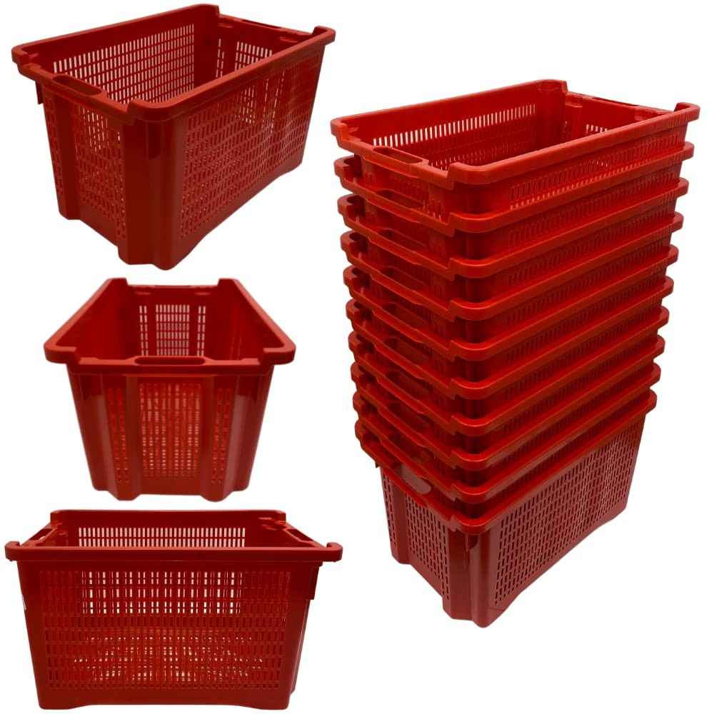 Cassette Raccolta Olive Professionali (10 pz) - Fondo Forato 40L Plastica