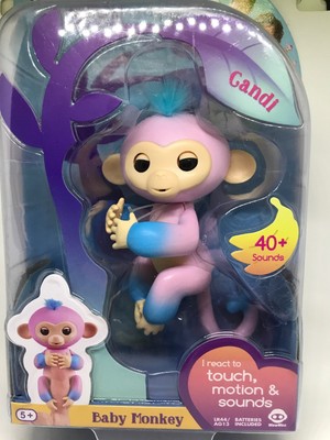 candi fingerling