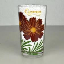Vintage Boscul Peanut Butter Glass Cosmos Name on Top Standard 5"