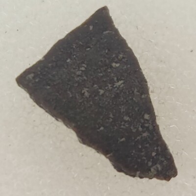 Unidentified Dinosaur Egg Shell Fossil (Orodromeus?) - Two Medicine Fm. - MT