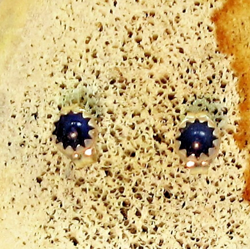 Earrings Lapis Lazuli Sterling Silver Southwest Studs Posts Blue Earrings #64