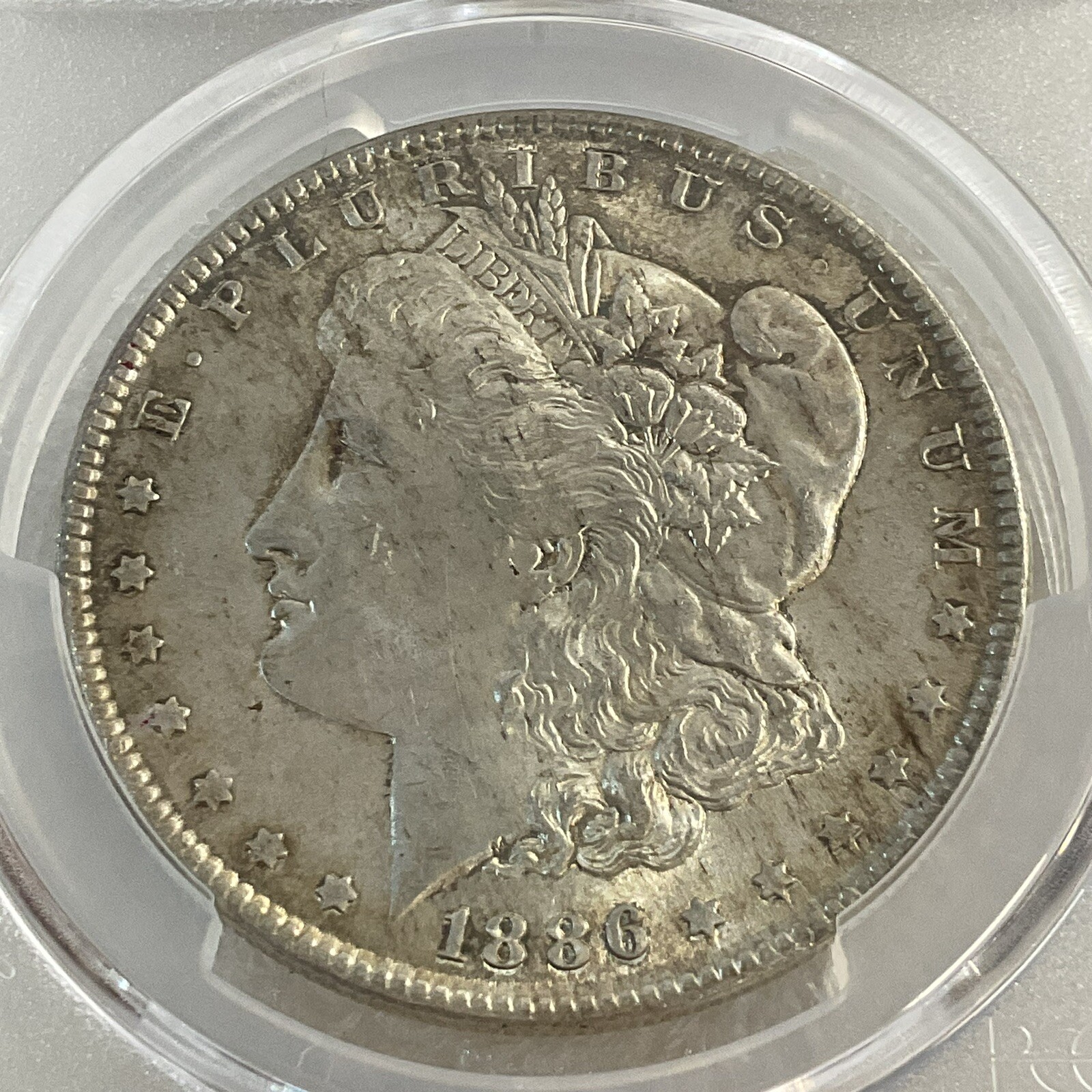 Picture 2 of 5