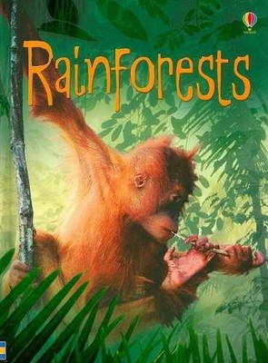 Rainforests (Usborne Beginners Level 1: - Hardcover, by Bowman Lucy - Very Good