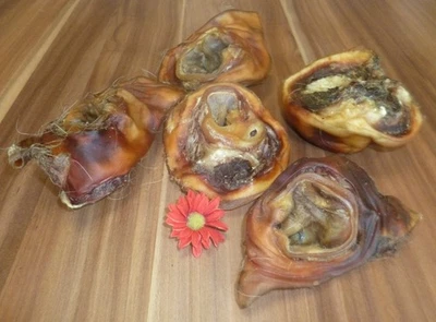 1 Kg RINDEROHRMUSCHELN Kauartikel wie Kopfhaut Ziemer Kaustange kausnack24