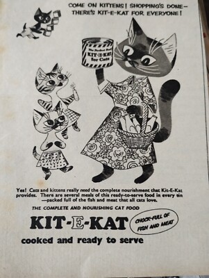 Sk46 Ephemera 1950er Jahre Werbeset E Kat Dg43
