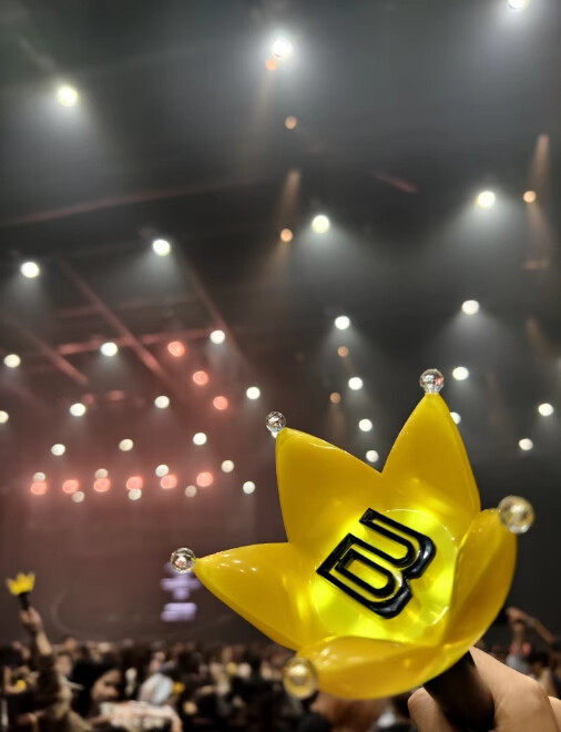 BIGBANG TOP & G-DRAGON Light Stick V.4 Concert Fan Support Glow