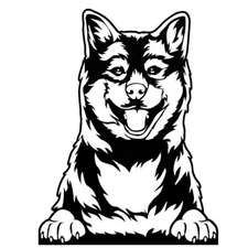 Shiba Inu - Black Vinyl Graphic Decal Car Truck Windows Laptop Notebook