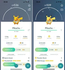 Shiny World Championships 2023 Pikachu - MlNl P T C - Read Description