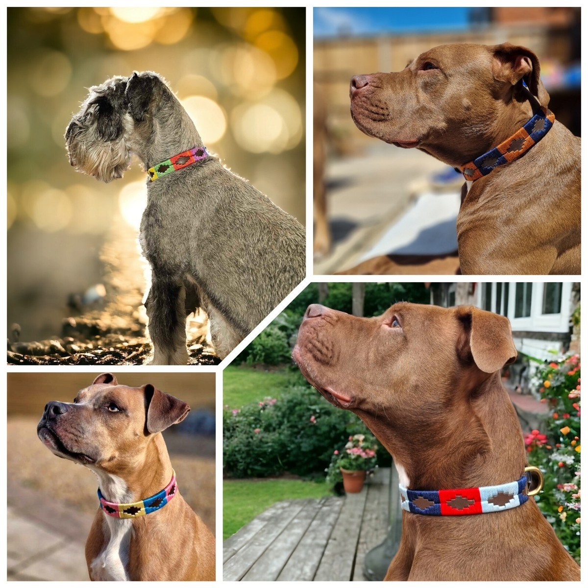 Handmade Polo Embroidered Style 100%Real Leather dog Pet Animal