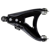 febi Bilstein Lenker, RadaufhäNgung 06943 FüR Renault, Vorderachse Links, Unten