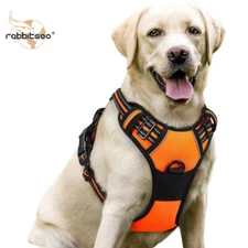 rabbitgoo Pet Dog Harness with 2 Leash Clips No Pull Adjustable Reflective Vest