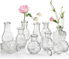 10-Pack Clear Glass Bud Vases, Small Flower Vase for Centerpiece, Tiny Vases for