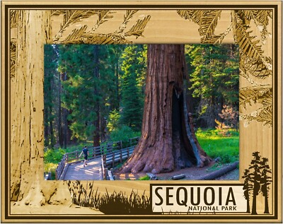 Sequoia National Park with Tree's Laser Engraved Wood Picture Frame (5 x 7)