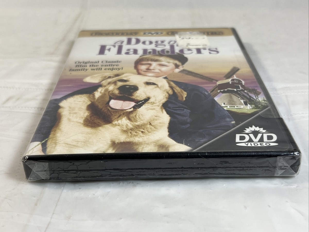 食器 A Dog of Flanders. Not for Sale. A Dog of Flanders Plate.1975 - Etsy