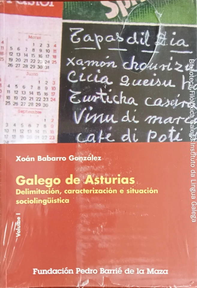 GALEGO DE ASTURIAS 2 VOL-X BABARRO GONZALEZ 1.000 PAGS GALEGO 1ª ED PRECINTADO - Imagen 3 de 4