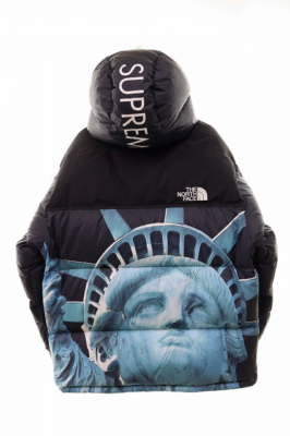 Supreme X The North Face Statue Of Liberty Baltoro Jacket Size L