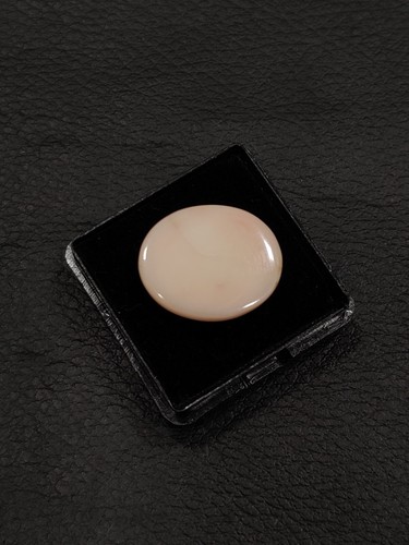 Japanese White Coral Flat Back Oval Cabochon - Pink Coral Cabochon for Ring - Picture 4 of 10