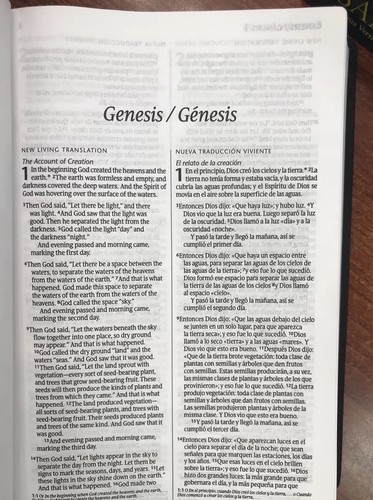 Bilingue Biblia Nlt/ntv Bilingue Biblie Senti Piel Negro Gris NUEVA T.VIVIENTE - Picture 6 of 12