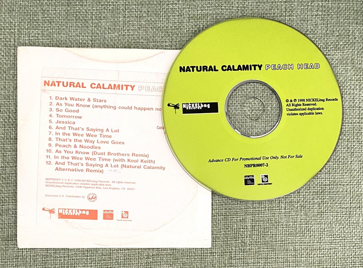 THE SKULL DISK NATURE TONES × DAMNGOOD Doomsday Discs Toxic Waste Ice Age - Flight Factory Discs