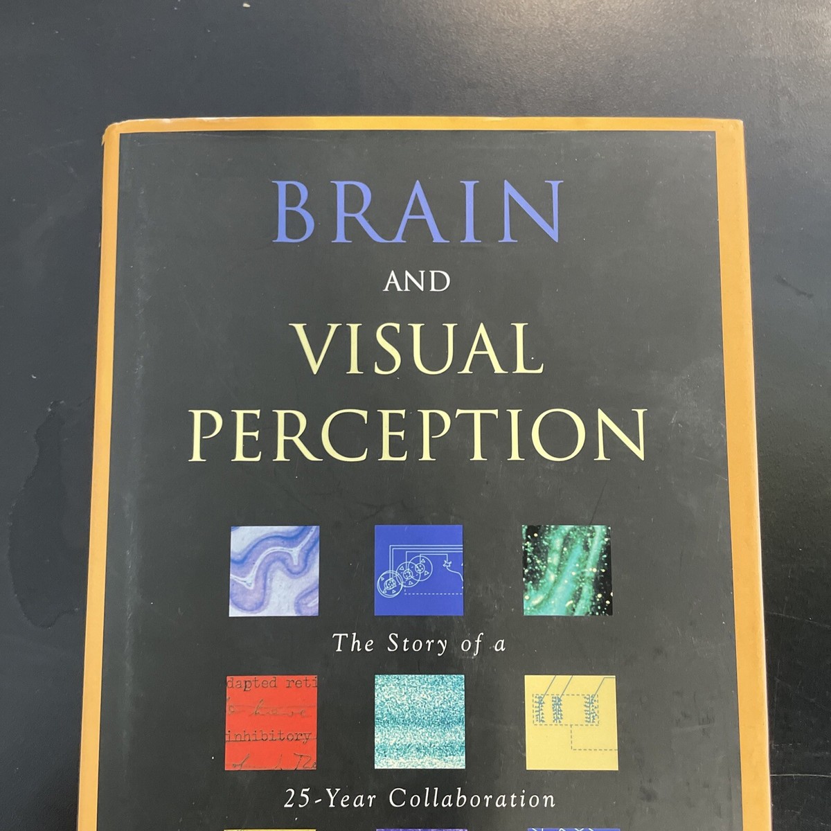 「Brain And Visual Perception　The Story 」 Brain And Visual Perception : The Story Of A 25-year Collaboration