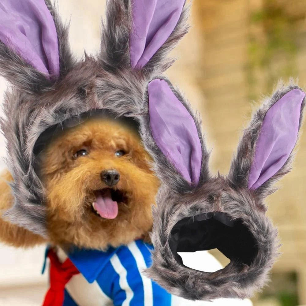 Cat rabbit costume cheap