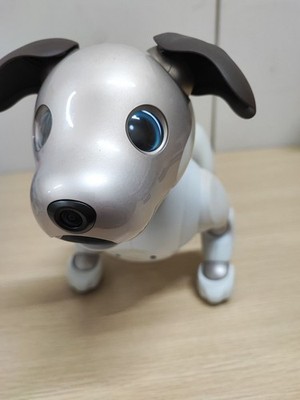 Sony AIBO ERS-1000 Entertainment Robot Dog Ivory White working used From Japan