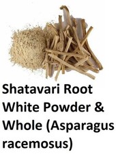 SHATAVARI SATAVARI Asparagus racemosus SATAWAR POWDER  WHOLE HERB