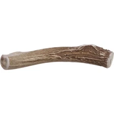 Prairie Dog | Deer Antler Chew | Naturally Shed - Hand Harvested in North Ame...