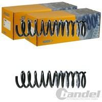 2X Spidan Fahrwerksfedern Hinten Passend FÜR Ford Focus Links+Rechts