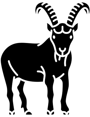 XXL 18x18 cm Car Sticker Goat Sticker
