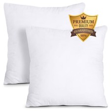 Feather & Down Cushions Certified Inner Pads Feather Sofa Cushion Inserts Pack 2