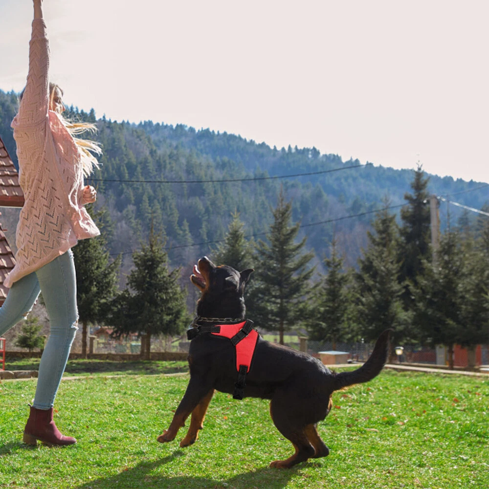 Dog Harness Large for Walking Puppy Breed Dogs Small Durable