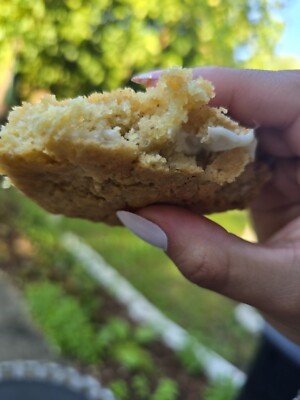 Freshly Baked Oatmeal & White Chocolate Chip Cookies   1 Dozen