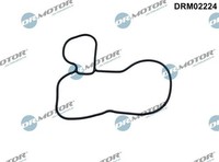 Dr.Motor Automotive DRM02224 Dichtung, ÖLpumpe FüR Ford Mazda