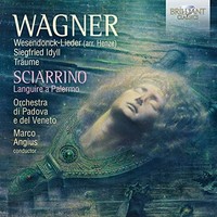 Orchestra Di Padova - Wagner Wesendonck Lieder Arr - Cd - G4Z