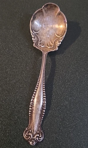 Towle Sterling Silver Jelly Spoon Canterbury 5 7/8" 23.91g Scrap Weight