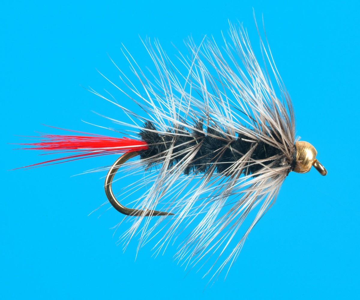 Gold Head Wooly Worm Black, size 12