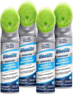 Woolite Advantage Carpet & Upholstery Cleaner, 3325, 12 Ounce (Pack of 4)