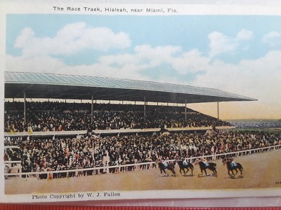 Vintage Postcard Race Track Hialeah Miami Florida W J Fallon Horse ...