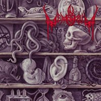 In Memorium - Lost To Antiquity - Cd - G3Z