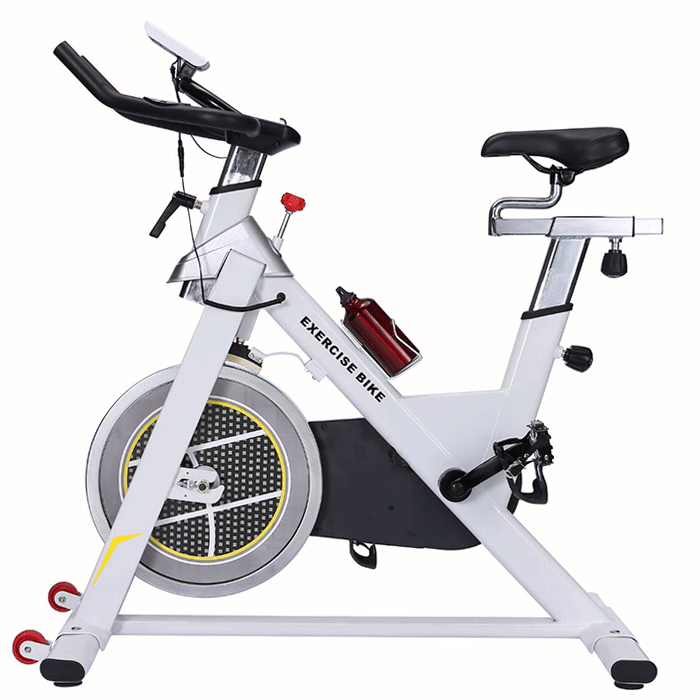 Bodytrain Racer Body Train Exercise Bike Manual BodyTrain Semi
