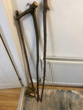 one Wood Hazel and 2  is blackthorn for  Walking Stick