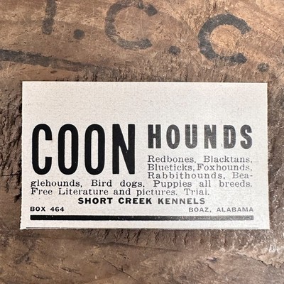 1952 Short Creek Kennels Coon Hound Vintage Print Ad Boaz Alabama Hunting Dogs