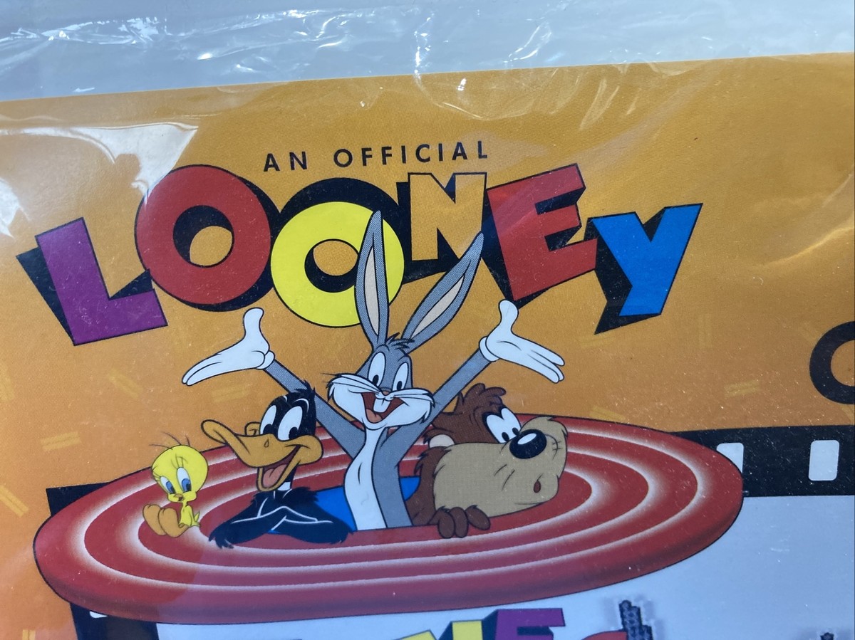 Vtg 1997 LOONEY TUNES Cross Stitch Magnet Set Bugs Tweety Taz