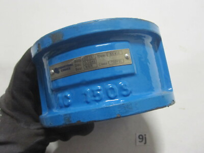 Duo-Check Valve GG25 Body GGG40 NBR Seat SS420 Stem 200PSI (1) 