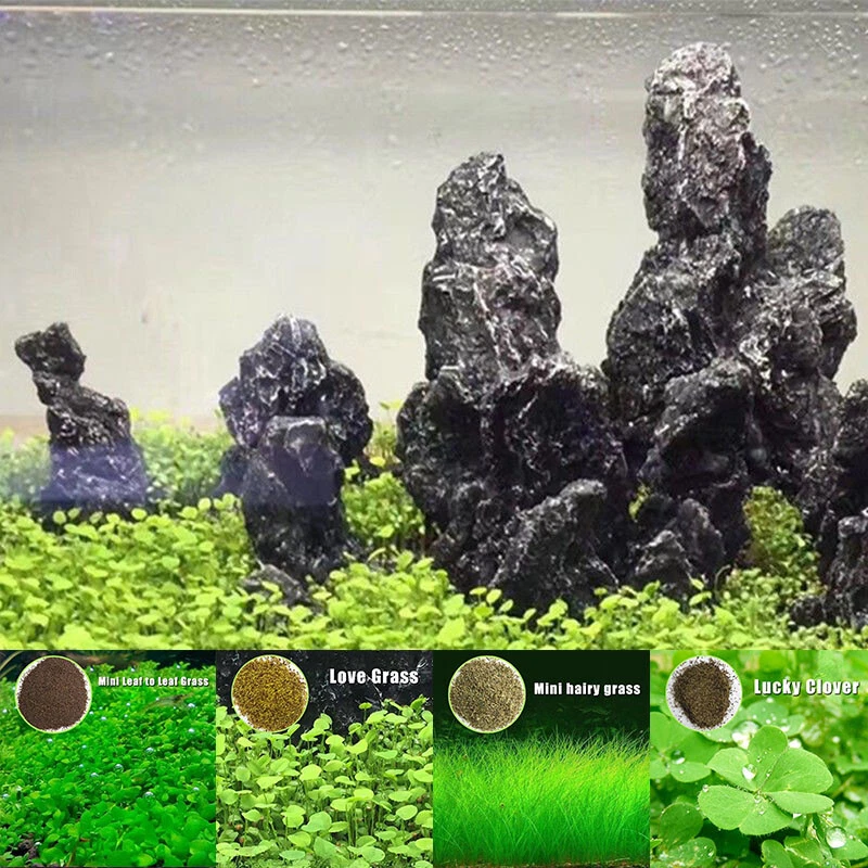 Water Garden Mini Plant Aquarium